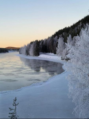 Holiday in Lapland